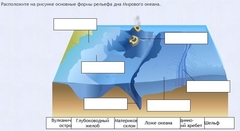 Интерактивные курсы. География 7 класс . Базовый. - fgospostavki.ru - Верхняя Пышма