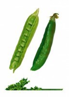 Комплект карточек "Запоминай, играй, считай" -  Овощи - fgospostavki.ru - Верхняя Пышма