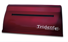 Принтер для печати рельефно-точечным шрифтом Брайля Trident - fgospostavki.ru - Верхняя Пышма