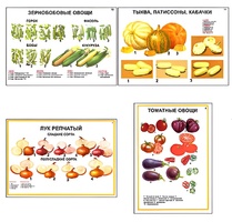 Плакаты ПРОФТЕХ "Ассортимент овощных культур" (12 пл, винил, 70х100) - fgospostavki.ru - Верхняя Пышма