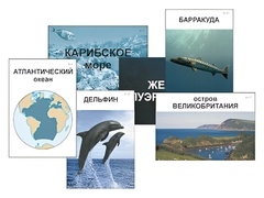 Модель-аппликация "Океаны. Знакомство" (ламинированная) - fgospostavki.ru - Верхняя Пышма