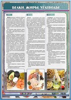 Стенд "Белки. Жиры. Углеводы" - fgospostavki.ru - Верхняя Пышма
