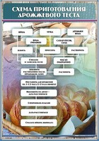 Стенд "Схема приготовления дрожжевого теста" - fgospostavki.ru - Верхняя Пышма