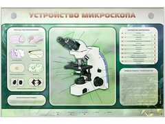 Электрифицированный стенд "Устройство микроскопа и правила работы c ним" - fgospostavki.ru - Верхняя Пышма