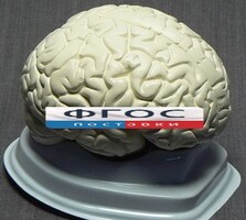 Модель "Мозг в разрезе" (белый) - fgospostavki.ru - Верхняя Пышма