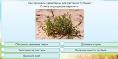 Интерактивные курсы. Окружающий мир 3 класс . Базовый. - fgospostavki.ru - Верхняя Пышма
