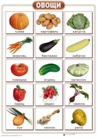 Таблицы "Окружающий мир" (формат А2, ламинированные, 10 таблиц) - fgospostavki.ru - Верхняя Пышма