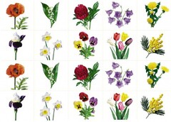 Комплект карточек "Запоминай, играй, считай" - Цветы - fgospostavki.ru - Верхняя Пышма