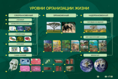 Электрифицированный стенд "Уровни организации жизни" - fgospostavki.ru - Верхняя Пышма