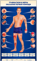 Электрифицированный стенд-тренажер "Травматизм и меры оказания первой помощи" - fgospostavki.ru - Верхняя Пышма