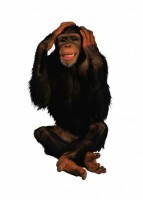 Комплект карточек "Запоминай, играй, считай" - Дикие животные - fgospostavki.ru - Верхняя Пышма