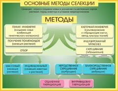 Стенд "Методы селекции и биотехнологии" - fgospostavki.ru - Верхняя Пышма