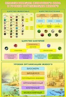 Стенд "Классификация животного мира" - fgospostavki.ru - Верхняя Пышма