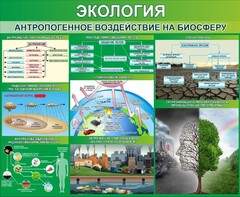 Стенд "Экология. Антропогенное воздействие на биосферу" - fgospostavki.ru - Верхняя Пышма