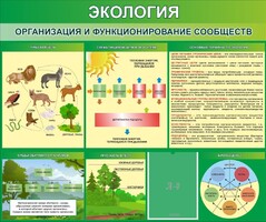 Стенд "Экология. Организация и функционирование сообществ" - fgospostavki.ru - Верхняя Пышма