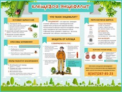 Стенд "Клещевой энцефалит" - fgospostavki.ru - Верхняя Пышма