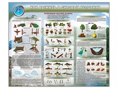 Стенд "Как выжить в суровых условиях" - fgospostavki.ru - Верхняя Пышма