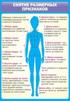 Стенд "Снятие мерок" Вариант 2 - fgospostavki.ru - Верхняя Пышма