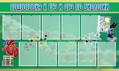 Стенд "Подготовка к ЕГЭ и ОГЭ по биологии" Вариант 2 - fgospostavki.ru - Верхняя Пышма