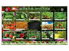 Комплект оборудования "Живой уголок" (растения) - fgospostavki.ru - Верхняя Пышма