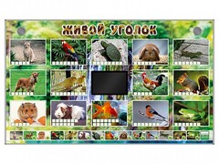 Комплект оборудования "Живой уголок" (животные) - fgospostavki.ru - Верхняя Пышма