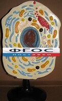 Модель "Клетка животного" - fgospostavki.ru - Верхняя Пышма