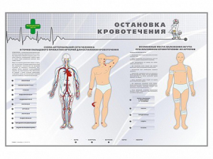 Электрифицированный стенд "Остановка кровотечения" - fgospostavki.ru - Верхняя Пышма