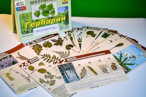 Гербарий к курсу основ общей биологии - fgospostavki.ru - Верхняя Пышма