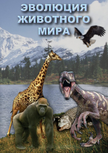 DVD "Эволюция животного мира" - fgospostavki.ru - Верхняя Пышма