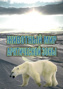 DVD "Животный мир Арктической зоны" - fgospostavki.ru - Верхняя Пышма