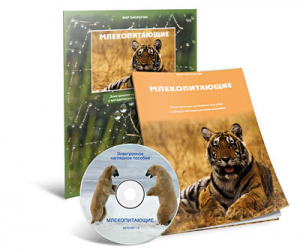 Электронное наглядное пособие «Млекопитающие» - fgospostavki.ru - Верхняя Пышма