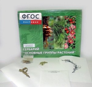 Гербарий "Основные группы растений" (52 листа) - fgospostavki.ru - Верхняя Пышма