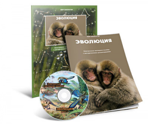 Электронное наглядное пособие «Эволюция» - fgospostavki.ru - Верхняя Пышма
