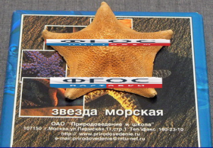 Сухой препарат "Звезда морская" - fgospostavki.ru - Верхняя Пышма