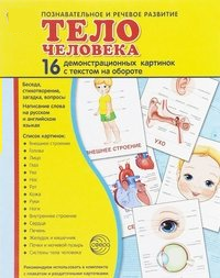 Демонстрационные карточки "Тело человека" - fgospostavki.ru - Верхняя Пышма