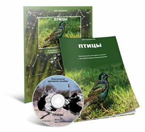 Электронное наглядное пособие «Птицы» - fgospostavki.ru - Верхняя Пышма