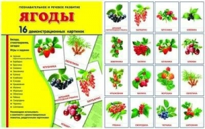 Демонстрационные карточки "Ягоды" - fgospostavki.ru - Верхняя Пышма