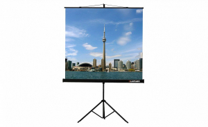 Проекционный экран на штативе Lumien Eco View (LEV-100105) 160x160 см - fgospostavki.ru - Верхняя Пышма
