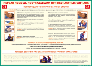 Таблица "Порядок действий при внезапной смерти" (100х140 сантиметров, винил) - fgospostavki.ru - Верхняя Пышма