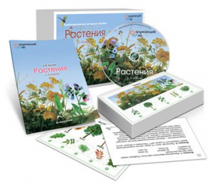 Комбинированное наглядное пособие «Растения» - fgospostavki.ru - Верхняя Пышма