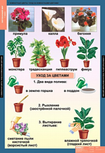 Комплект таблиц. Окружающий мир 1 класс. - fgospostavki.ru - Верхняя Пышма