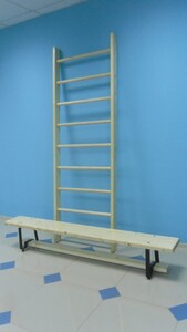 Стенка гимнастическая шведская премиум (1000х3200 мм) - fgospostavki.ru - Верхняя Пышма