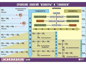 Таблица демонстрационная "Сравнение понятий изомер и гомолог" (винил 70x100) - fgospostavki.ru - Верхняя Пышма