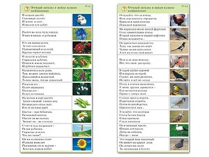 Комплект карточек (10) "Обучающий калейдоскоп. Природа" - fgospostavki.ru - Верхняя Пышма