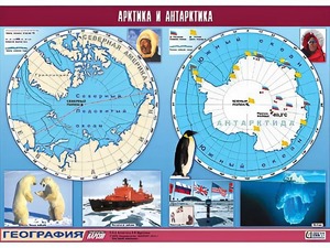 Таблица демонстрационная "Арктика и Антарктика" (винил 100*140) - fgospostavki.ru - Верхняя Пышма