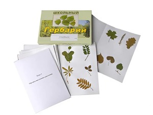 Гербарий "Морфология растений" (6 тем, 30 видов) - fgospostavki.ru - Верхняя Пышма
