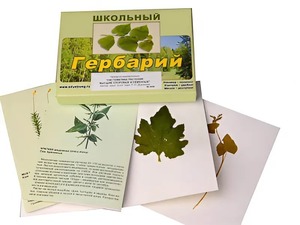 Гербарий "Систематика растений. Высшие споровые и семенные" (раздаточный) - fgospostavki.ru - Верхняя Пышма