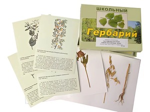 Гербарий "Систематика растений. Семейство Бобовые. Злаки" (раздаточный) - fgospostavki.ru - Верхняя Пышма
