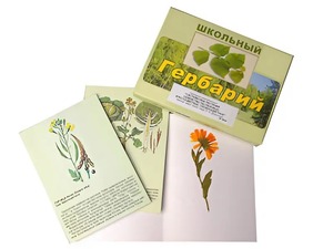Гербарий "Систематика растений. Семейство Пасленовые. Крестоцветные. Сложноцветные" (раздаточный) - fgospostavki.ru - Верхняя Пышма