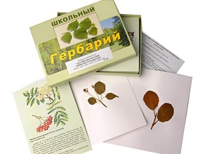 Гербарий "Систематика растений. Семейство Розоцветные" (раздаточный) - fgospostavki.ru - Верхняя Пышма